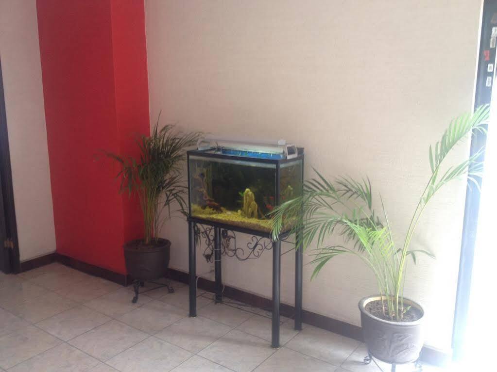 Hotel La Paz Guadalajara Eksteriør bilde